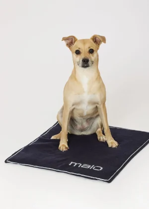 MALO For Pets | Accessories<Cashmere blanket "Cashmere Dream" 45x45 cm, MOG Blue