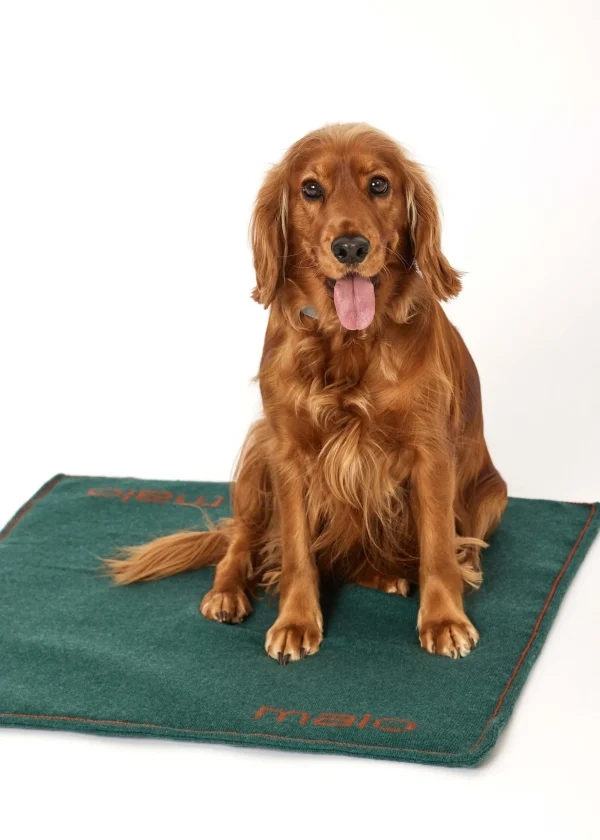 MALO For Pets | Accessories<Cashmere blanket "Cashmere Dream" 60x60 cm, MOG Green