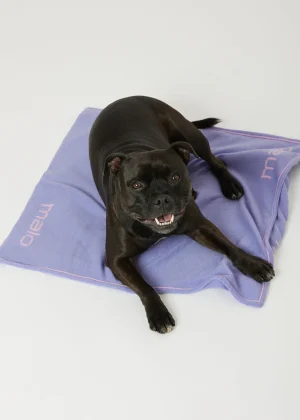 MALO For Pets | Accessories<Cashmere blanket "Cashmere Dream" 60x60 cm, MOG Lilac