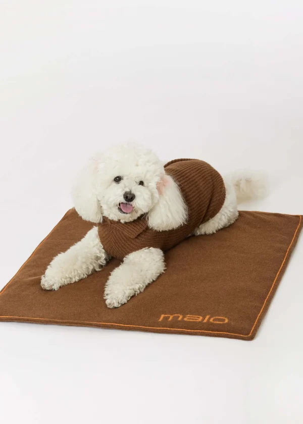 MALO For Pets | Accessories<Cashmere blanket "Cashmere Dream" 60x60 cm, MOG Brown