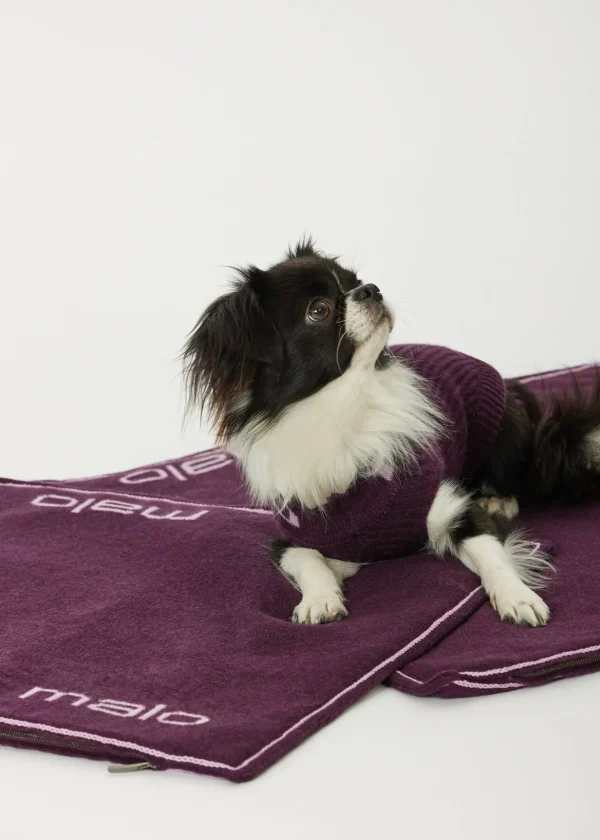 MALO For Pets | Accessories<Cashmere blanket "Cashmere Dream" 45x45 cm, MOG Purple