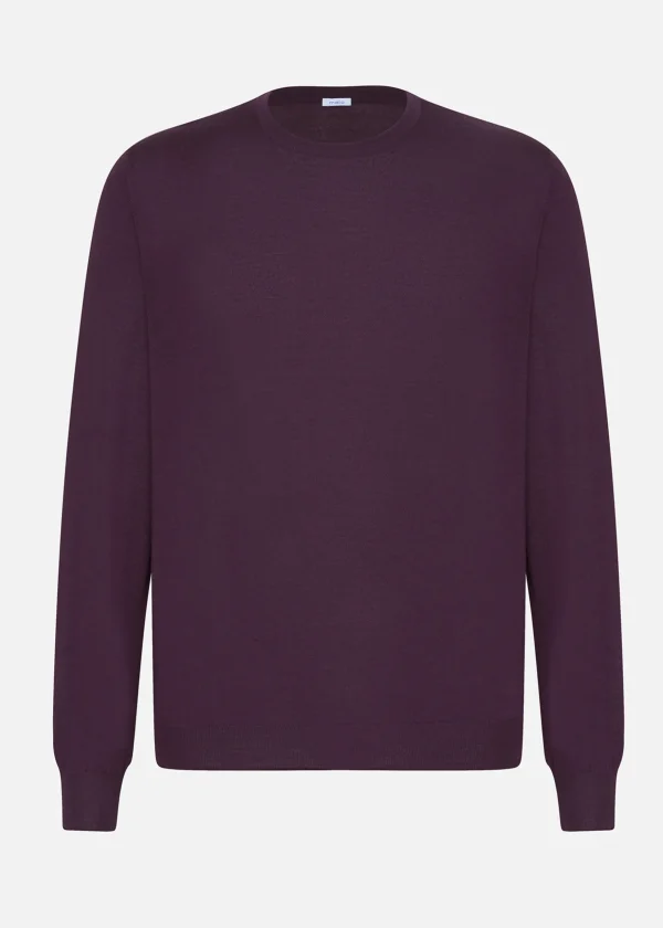 MALO Tops & Knitwear<Cashmere crewneck sweater Purple