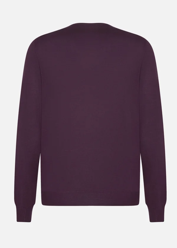 MALO Tops & Knitwear<Cashmere crewneck sweater Purple