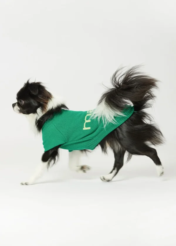 MALO For Pets | Accessories<Cashmere sweater "Less is More", MOG Green