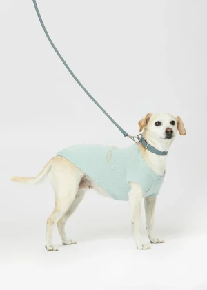 MALO For Pets | Accessories<Cashmere sweater "Less is More", MOG Light blue