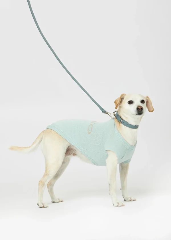 MALO For Pets | Accessories<Cashmere sweater "Less is More", MOG Light blue