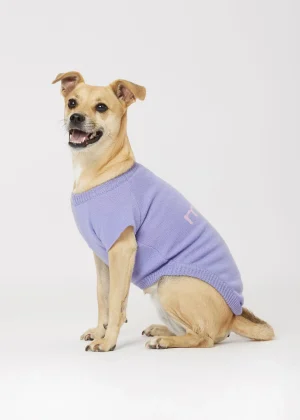 MALO For Pets | Accessories<Cashmere sweater "Less is More", MOG Lilac