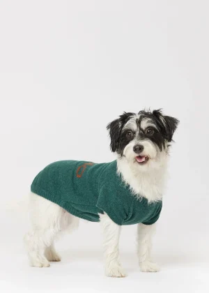 MALO For Pets | Accessories<Cashmere sweater "Less is More", MOG Green