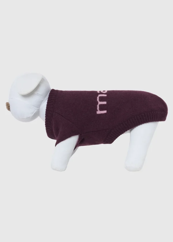 MALO For Pets | Accessories<Cashmere sweater "Less is More", MOG Purple