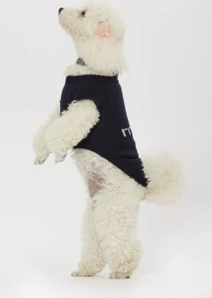 MALO For Pets | Accessories<Cashmere sweater "Less is More", MOG Blue