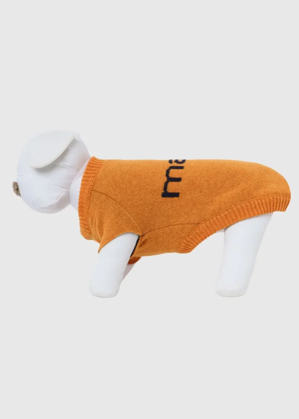 MALO For Pets | Accessories<Cashmere sweater "Less is More", MOG Orange