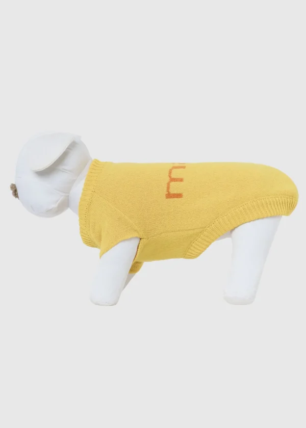 MALO For Pets | Accessories<Cashmere sweater "Less is More", MOG Yellow