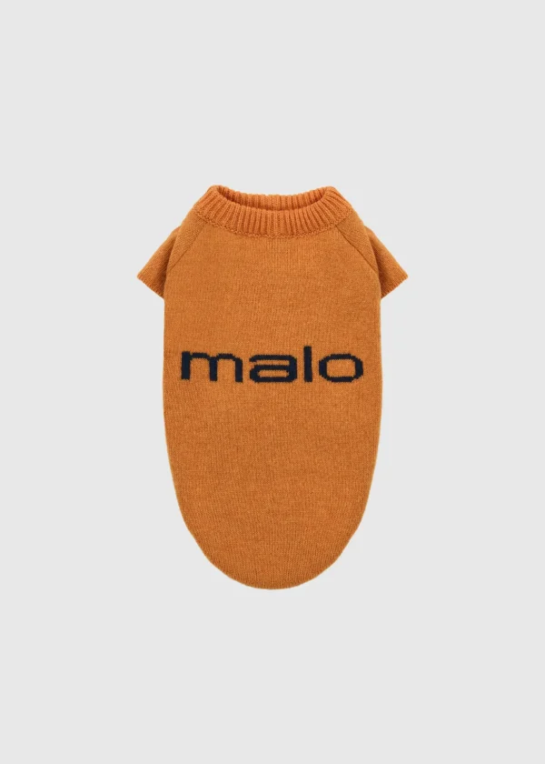 MALO For Pets | Accessories<Cashmere sweater "Less is More", MOG Orange