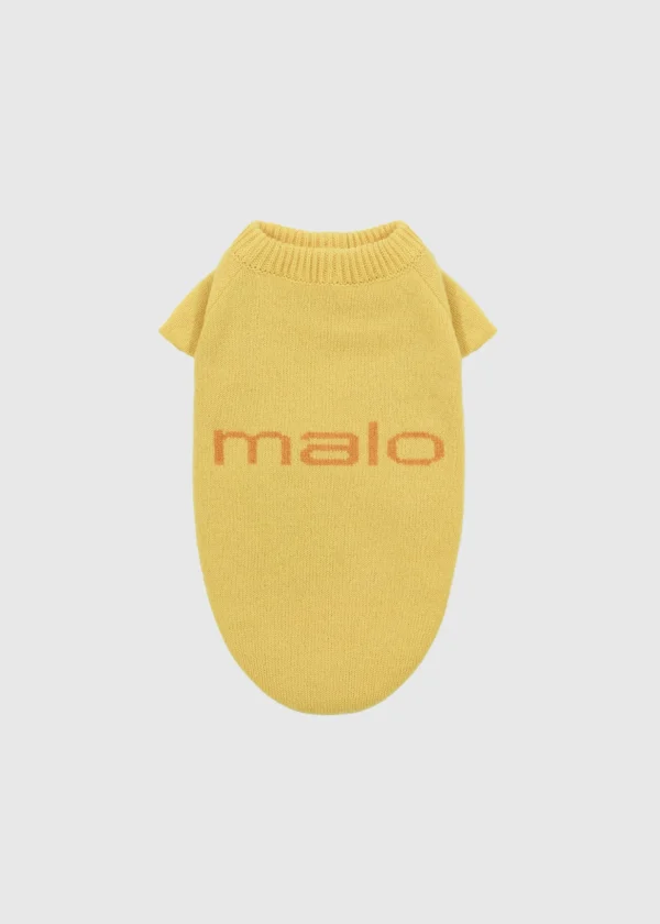 MALO For Pets | Accessories<Cashmere sweater "Less is More", MOG Yellow