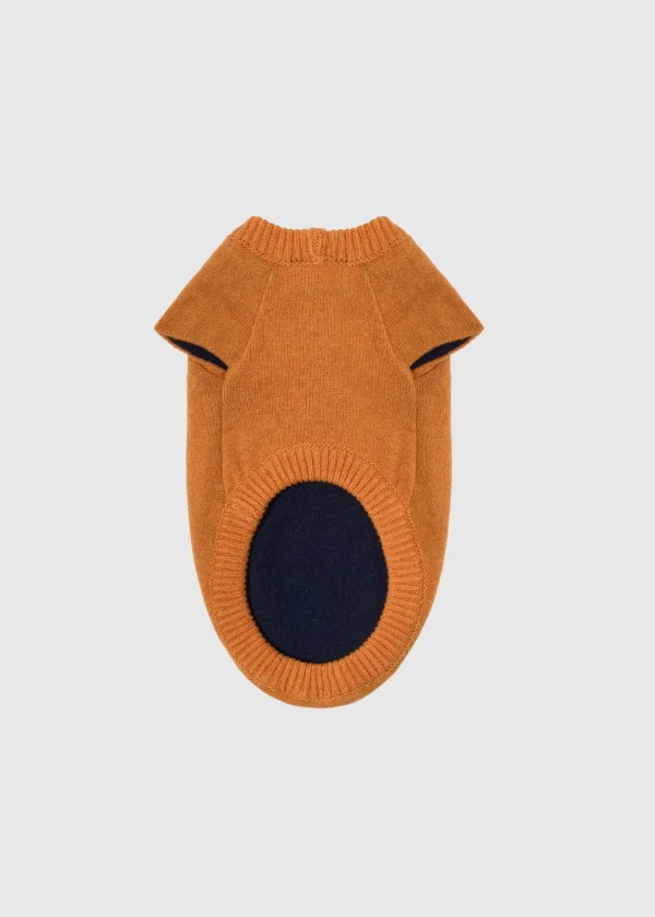 MALO For Pets | Accessories<Cashmere sweater "Less is More", MOG Orange