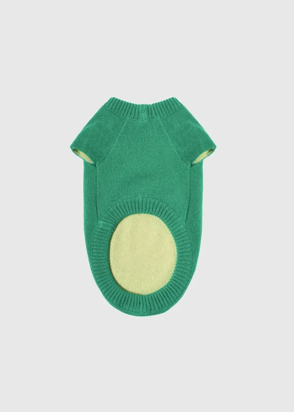 MALO For Pets | Accessories<Cashmere sweater "Less is More", MOG Green