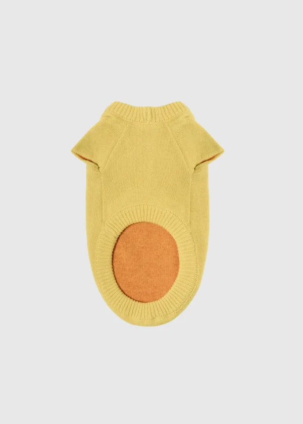 MALO For Pets | Accessories<Cashmere sweater "Less is More", MOG Yellow