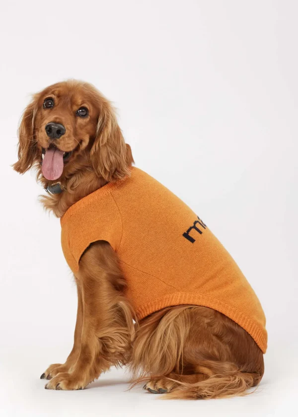 MALO For Pets | Accessories<Cashmere sweater "Less is More", MOG Orange