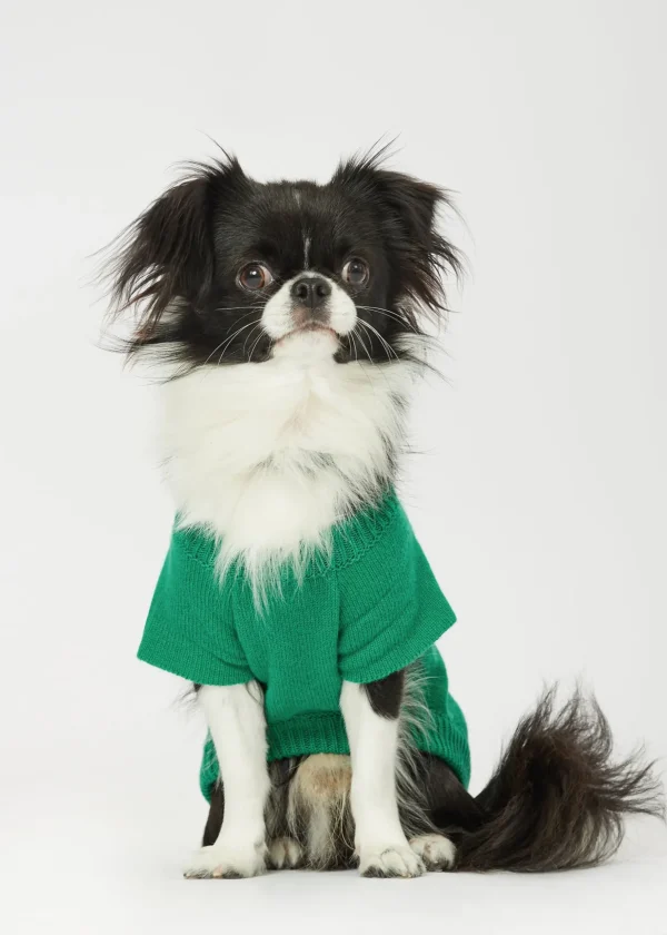 MALO For Pets | Accessories<Cashmere sweater "Less is More", MOG Green