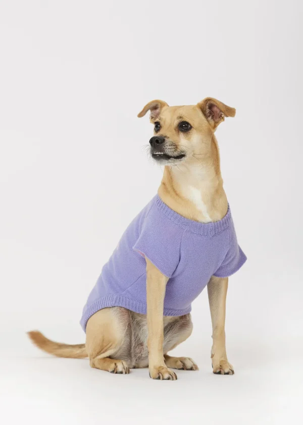 MALO For Pets | Accessories<Cashmere sweater "Less is More", MOG Lilac