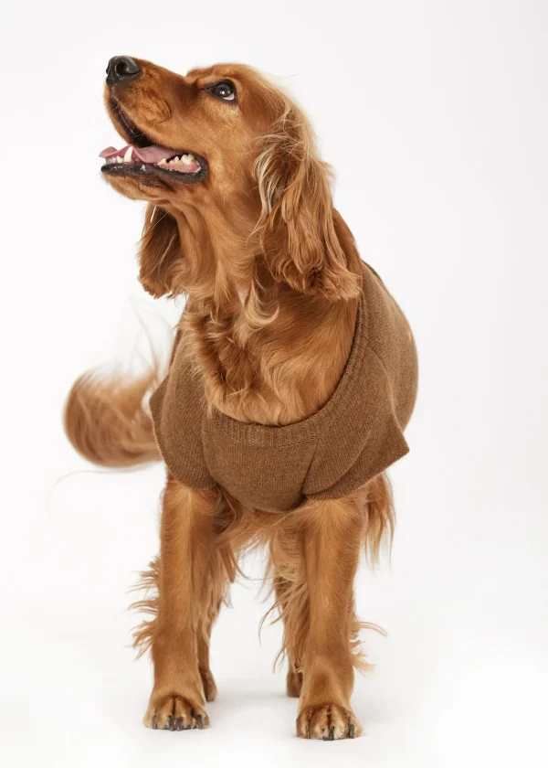 MALO For Pets | Accessories<Cashmere sweater "Less is More", MOG Brown