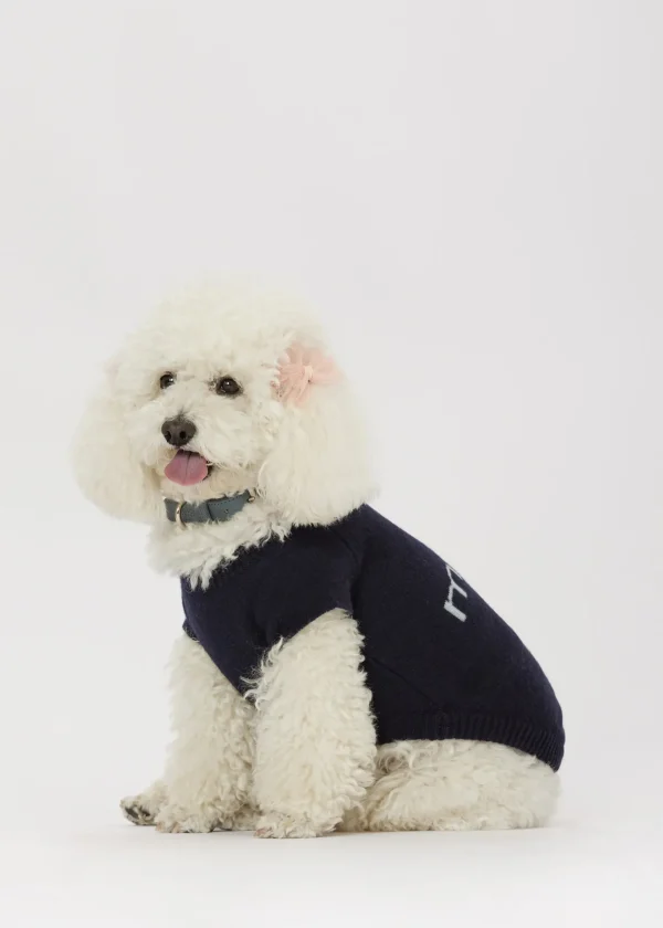 MALO For Pets | Accessories<Cashmere sweater "Less is More", MOG Blue