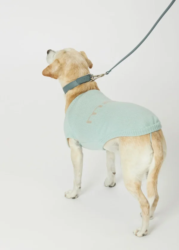 MALO For Pets | Accessories<Cashmere sweater "Less is More", MOG Light blue