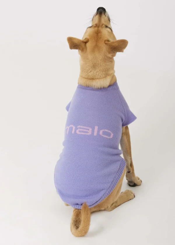 MALO For Pets | Accessories<Cashmere sweater "Less is More", MOG Lilac