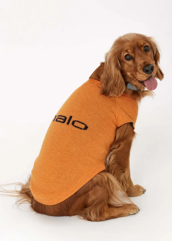 MALO For Pets | Accessories<Cashmere sweater "Less is More", MOG Orange