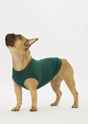 MALO For Pets | Accessories<Cashmere sweater "-ve," MOG Green