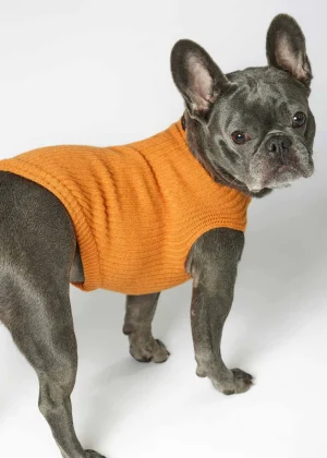 MALO For Pets | Accessories<Cashmere sweater "-ve," MOG Orange