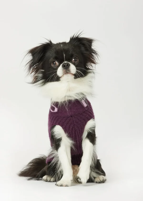 MALO For Pets | Accessories<Cashmere sweater "-ve," MOG Purple