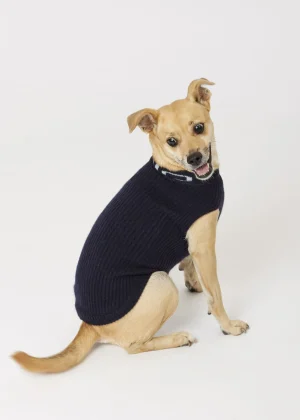 MALO For Pets | Accessories<Cashmere sweater "-ve," MOG Blue