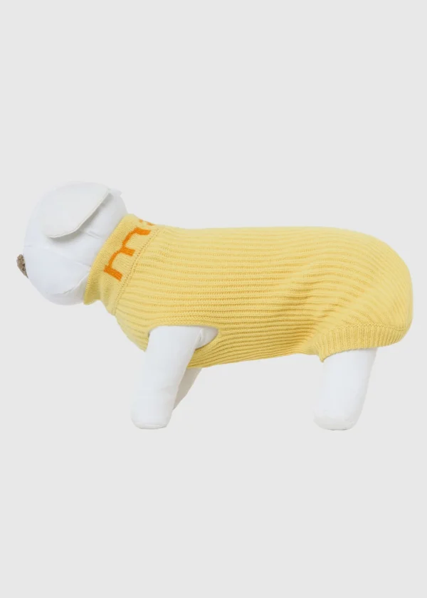 MALO For Pets | Accessories<Cashmere sweater "-ve," MOG Yellow