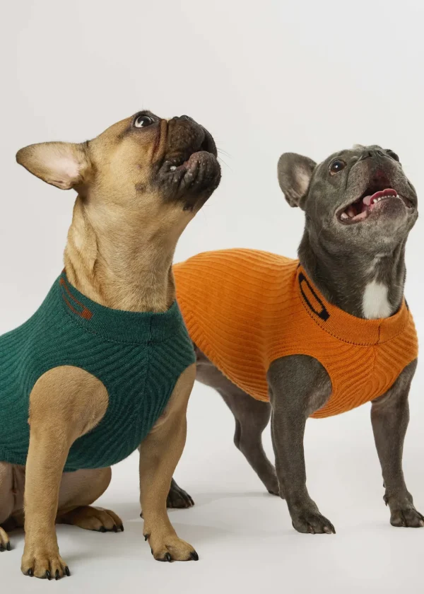 MALO For Pets | Accessories<Cashmere sweater "-ve," MOG Green