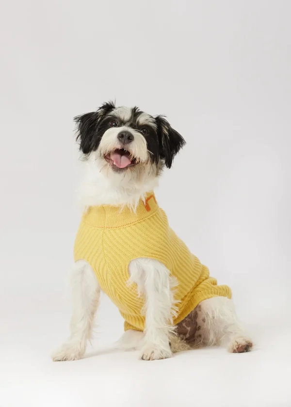 MALO For Pets | Accessories<Cashmere sweater "-ve," MOG Yellow