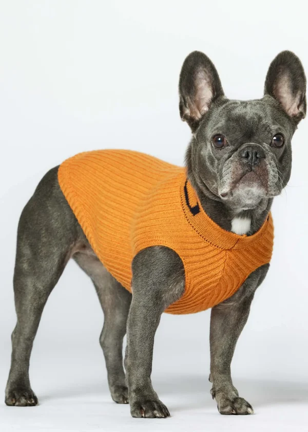 MALO For Pets | Accessories<Cashmere sweater "-ve," MOG Orange