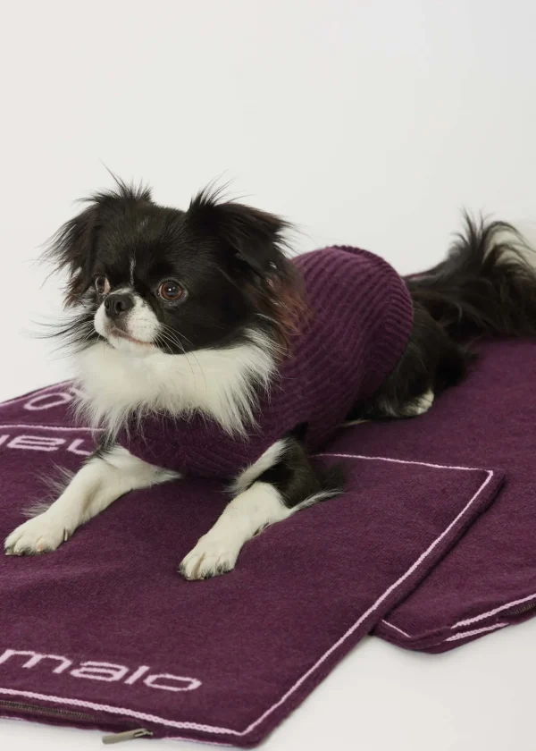 MALO For Pets | Accessories<Cashmere sweater "-ve," MOG Purple