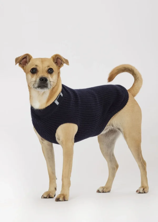 MALO For Pets | Accessories<Cashmere sweater "-ve," MOG Blue