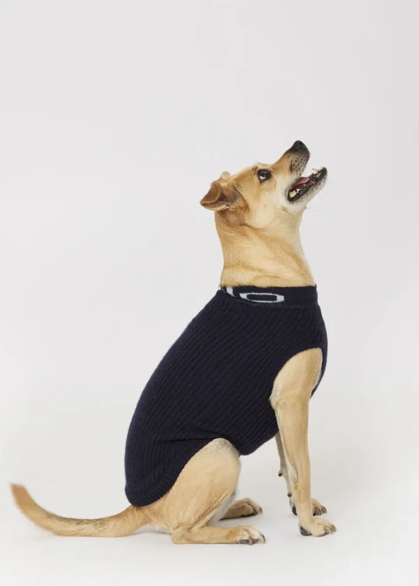 MALO For Pets | Accessories<Cashmere sweater "-ve," MOG Blue