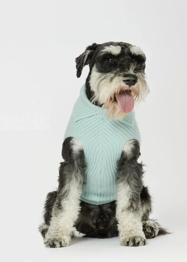 MALO For Pets | Accessories<Cashmere sweater "Timeless Love," MOG Light blue