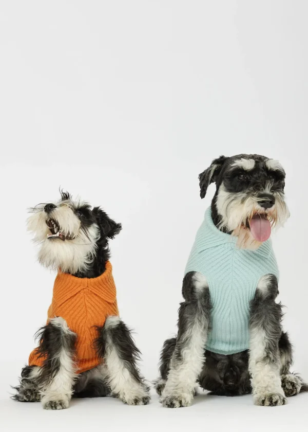 MALO For Pets | Accessories<Cashmere sweater "Timeless Love," MOG Green